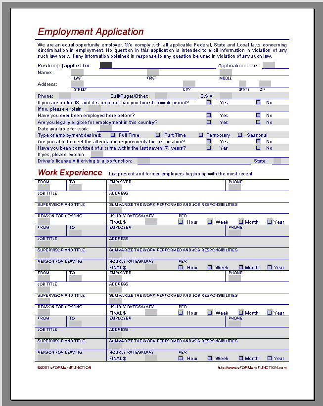 Employment Application Template Microsoft Word